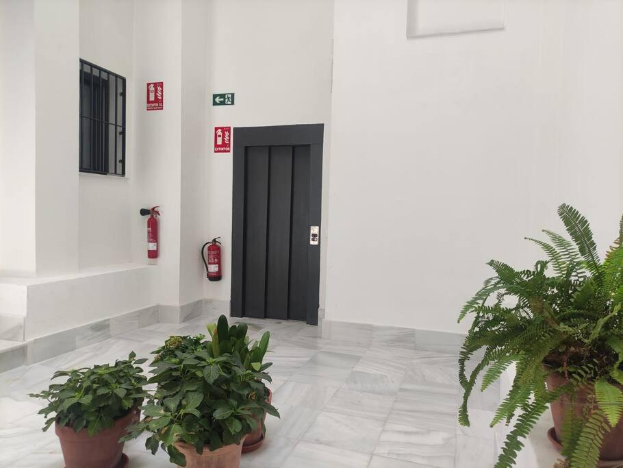 Calm & Design Suite Sevilla Exteriér fotografie